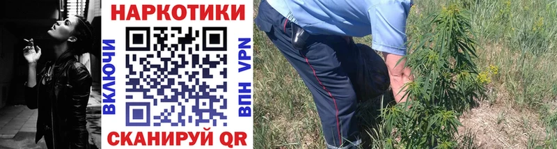 Где купить Боровск Героин  Конопля  Alpha PVP 