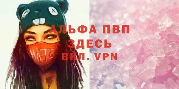 ПСИЛОЦИБИНОВЫЕ ГРИБЫ Белокуриха