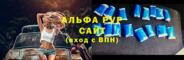 ПСИЛОЦИБИНОВЫЕ ГРИБЫ Белокуриха