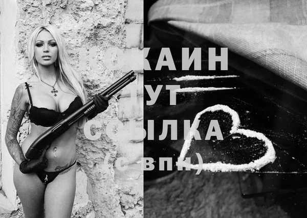 молекула духа Белоозёрский