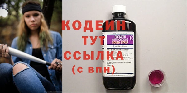 молекула духа Белоозёрский