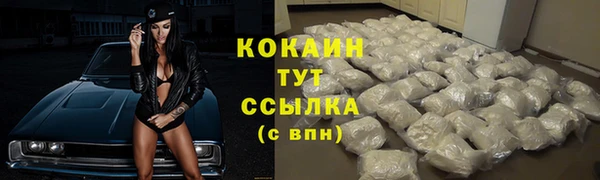 прущий лед Богданович