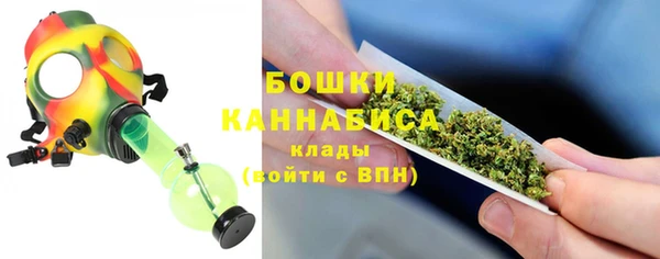 прущий лед Богданович
