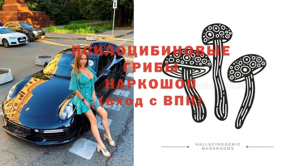 ПСИЛОЦИБИНОВЫЕ ГРИБЫ Белокуриха